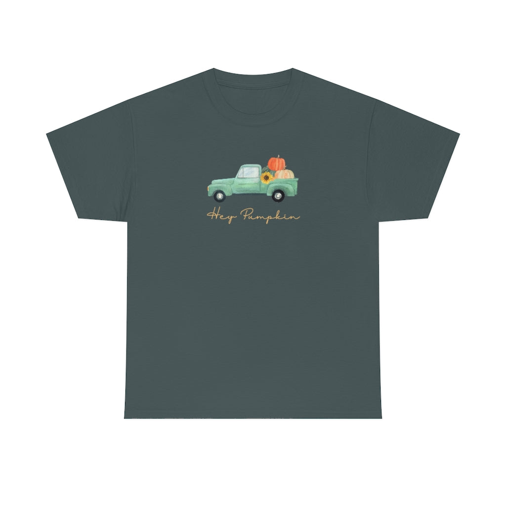 Hey Pumpkin Rainbow Cotton T-shirt