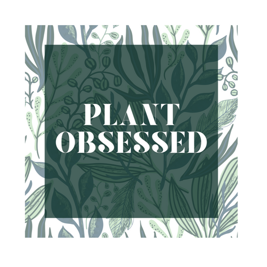 Calling all plant lovers. This plant obsessed notebook has a gorgeous plant leaf design with the phrase Plant Obsessed. Whether you are just starting out your plant journey or your living space has become a jungle, this journal is for you.This journal has 118 ruled line single pages for you to fill up!