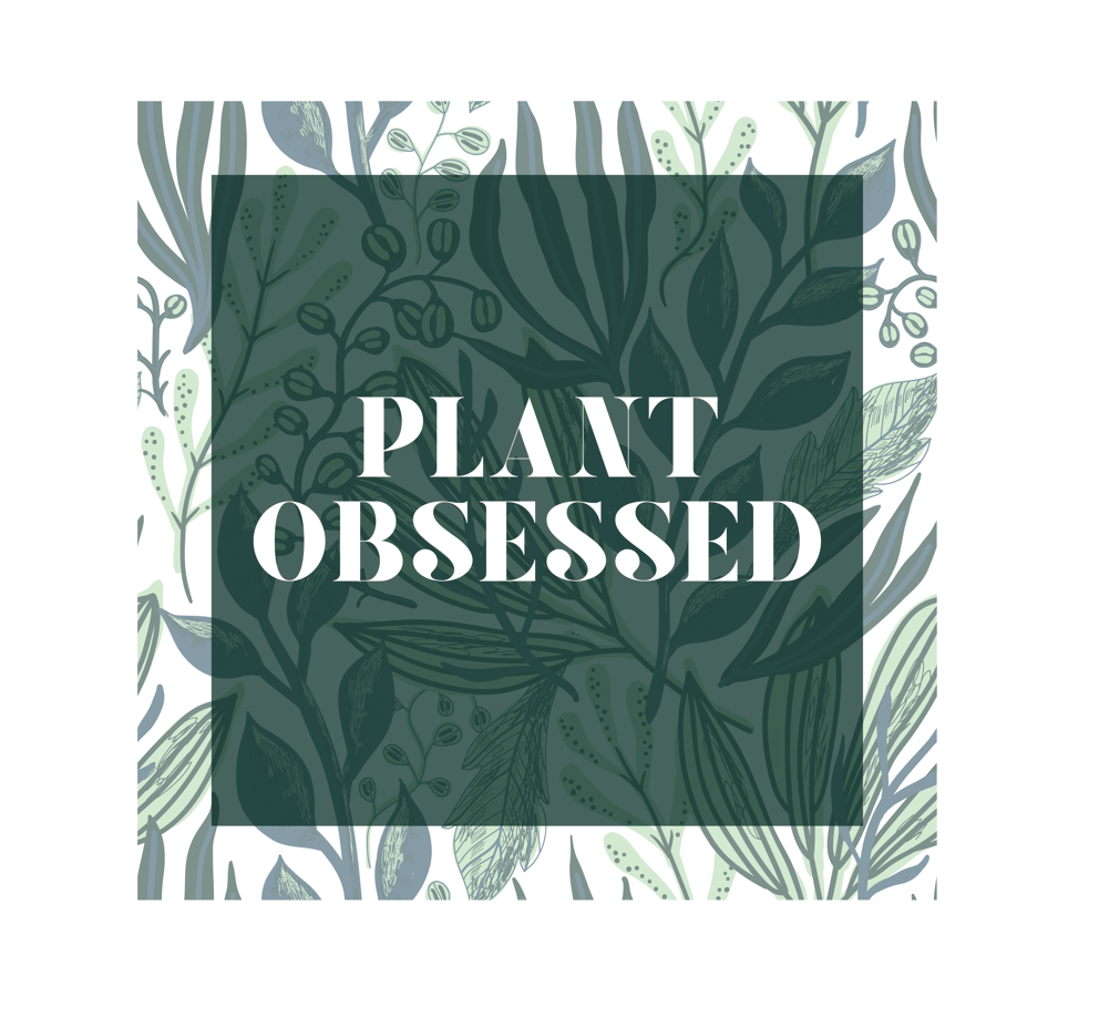 Calling all plant lovers. This plant obsessed ceramic mug has a gorgeous plant leaf design with the phrase Plant Obsessed. Whether you are just starting out your plant journey or your living space has become a jungle, this mug is for you. This mug is 11 oz, lead and BPA free, and microwave and dishwasher safe! 