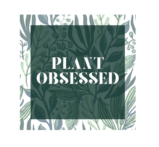 Calling all plant lovers. This plant obsessed ceramic mug has a gorgeous plant leaf design with the phrase Plant Obsessed. Whether you are just starting out your plant journey or your living space has become a jungle, this mug is for you. This mug is 11 oz, lead and BPA free, and microwave and dishwasher safe!