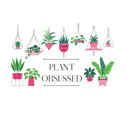 There is no such thing as too many plants. I mean, just one more right? This colorful notebook has beautiful hanging plants and the phrase “Plant Obsessed”. Treat yourself and show off your passion for plants with this journal. This journal has 118 ruled line single pages for you to fill up!