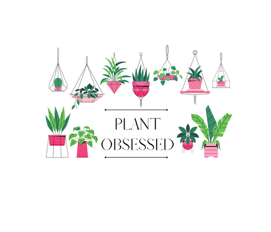 There is no such thing as too many plants. I mean, just one more right? This colorful ceramic mug has beautiful hanging plants and the phrase “Plant Obsessed”. This mug is stylish and perfect for your morning tea or coffee. Treat yourself and show off your passion for plants with this piece. This mug is 11 oz, lead and BPA free, and microwave and dishwasher safe!