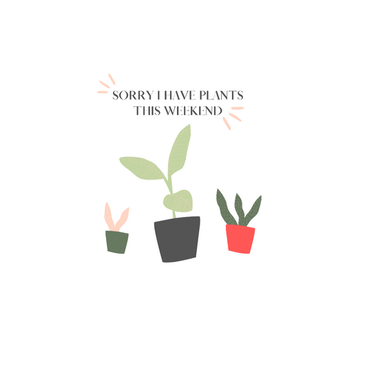 When all you want is a night in with your plants. This punny notebook is bright and fun and says, “Sorry I Have Plants This Weekend”. Great for introverts and all who just like alone time and self care. Add this stylish funny journal to your collection today. This journal has 118 ruled line single pages for you to fill up!