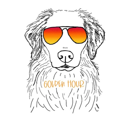 Happy Golden Hour! This notebook is perfect for planning trips to catch that golden lighting with your golden retriever! Perfect gift for that golden lover in your life. This journal has 118 ruled line single pages for you to fill up!